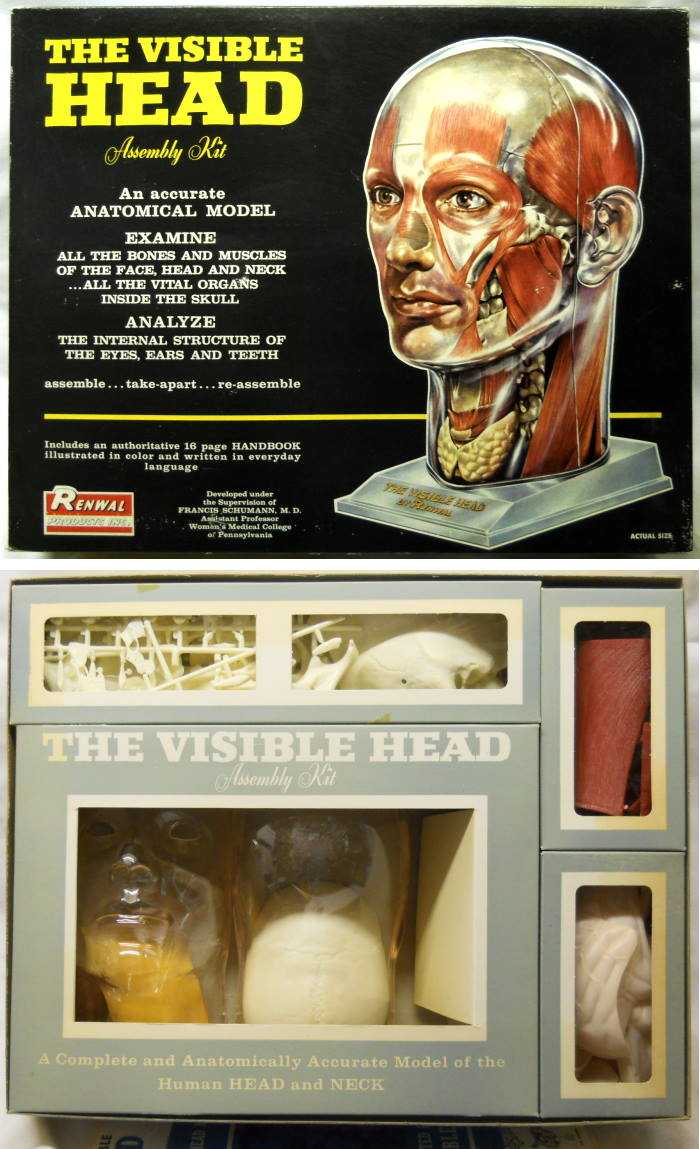 Renwal 1/1 The Visible Head, 805-1198 plastic model kit