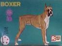 itc-3818-boxer.jpg