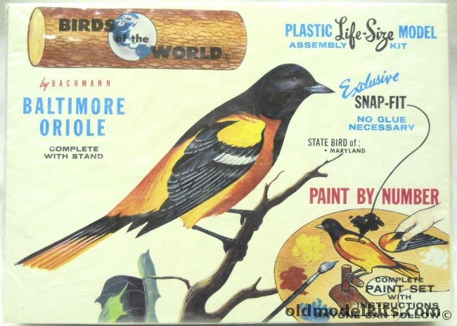 Bachmann 1/1 Birds of the World Baltimore Oriole - With Paint And Stand, 9000-100 plastic model kit