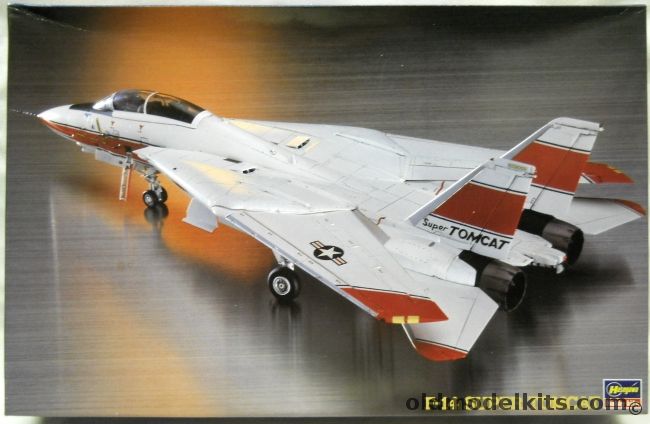 Hasegawa 1/48 F-14 Super Tomcat  - F-14D Super Tomcat US Navy Evaluation Aircraft, SP12 plastic model kit