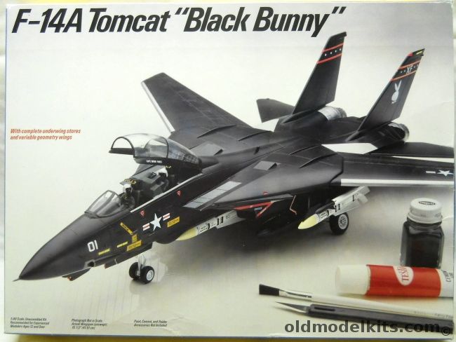 Testors 1/48 F-14A Tomcat Black Bunny - US Navy VX-4 or VF-21 - (ex-Fujimi), 328 plastic model kit
